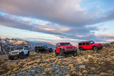 10 Reasons Ausgo 4WD Gear is Trusted by Australian Off-Roaders