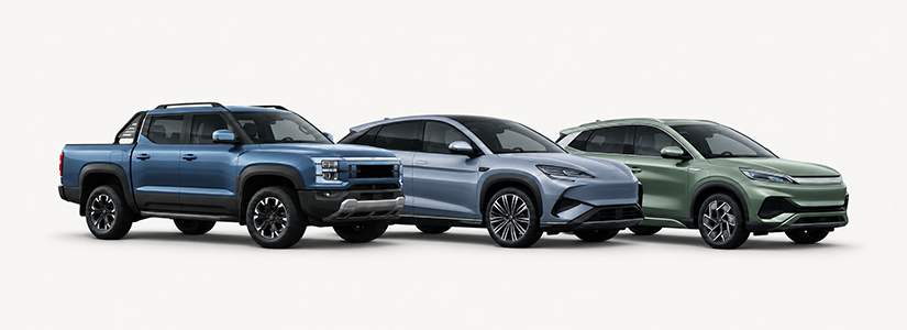 BYD Accessories
