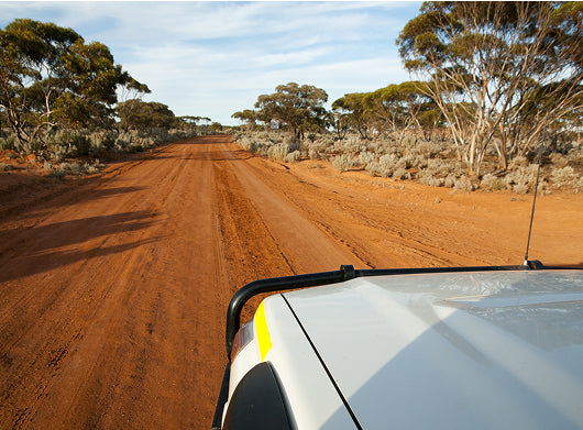 Built for Every Adventure