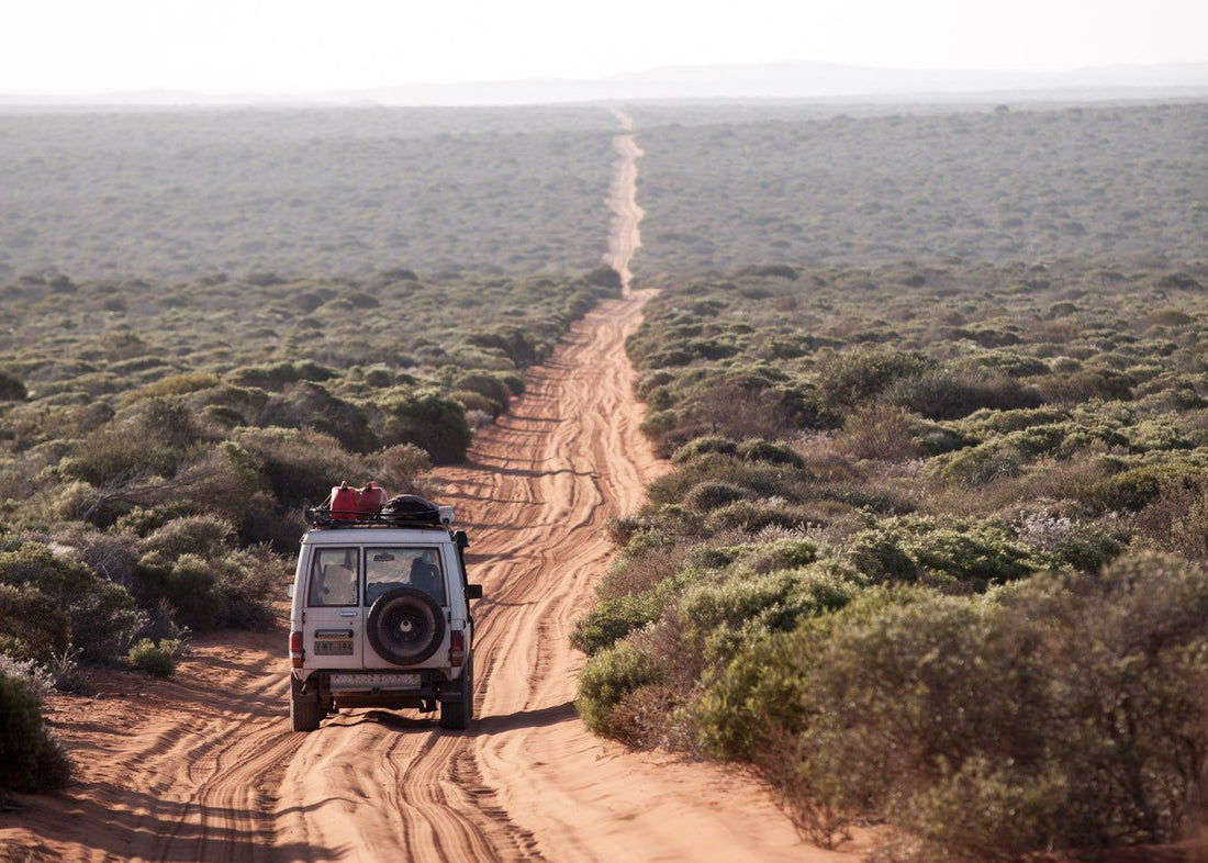 Built for Tough Terrain